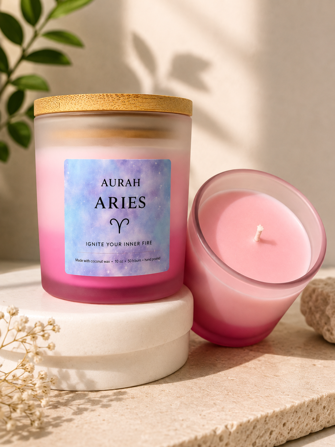 Aries ♈️