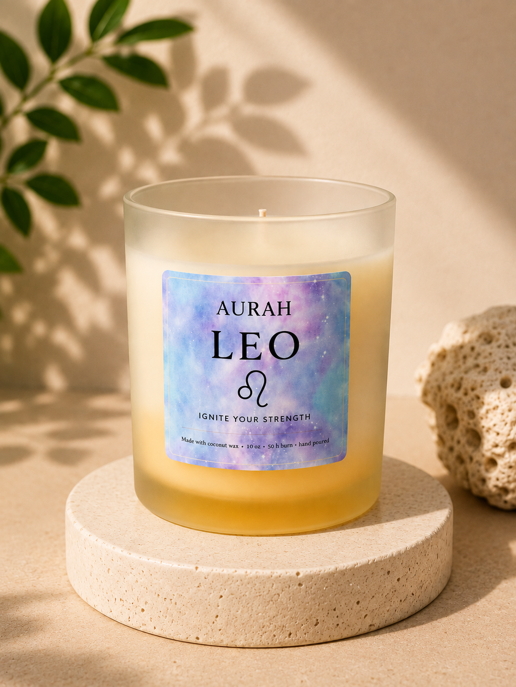 Leo ♌️