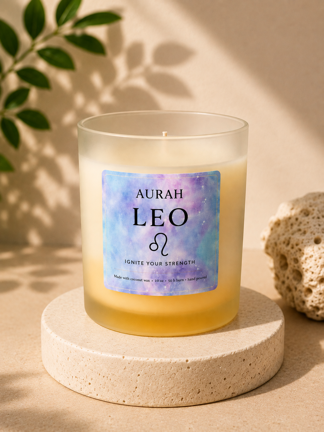 Leo ♌️