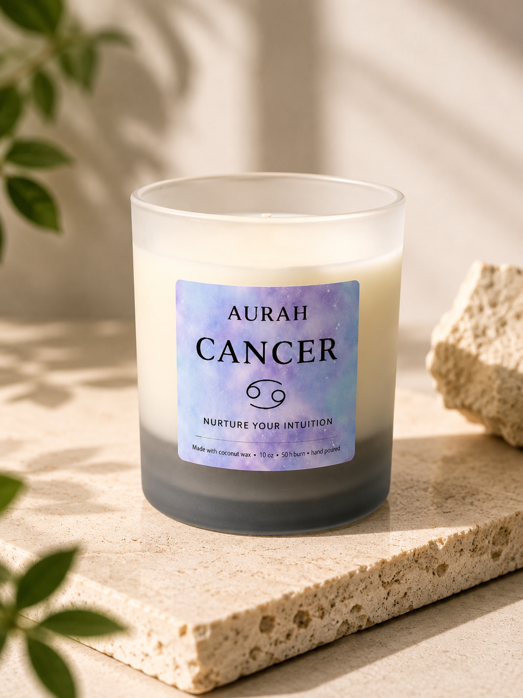 Cancer ♋️