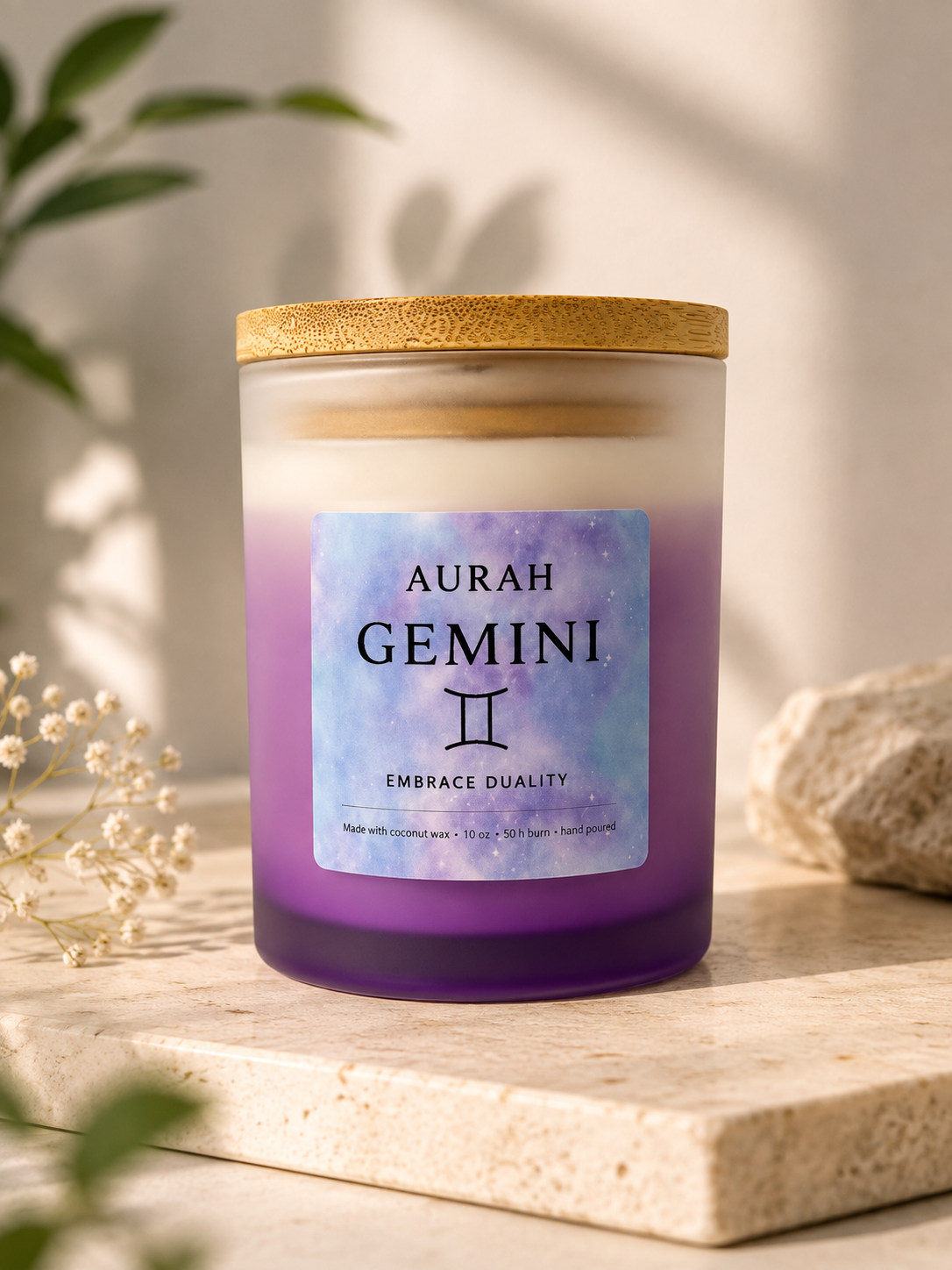 Gemini ♊️
